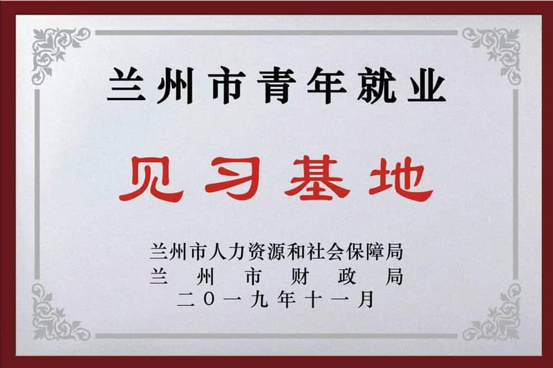 华帜天成荣誉奖牌