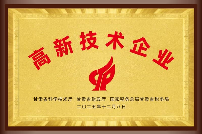 华帜天成荣誉奖牌